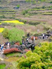 Fujishan: A Seasonal Masterpiece of Color and Life