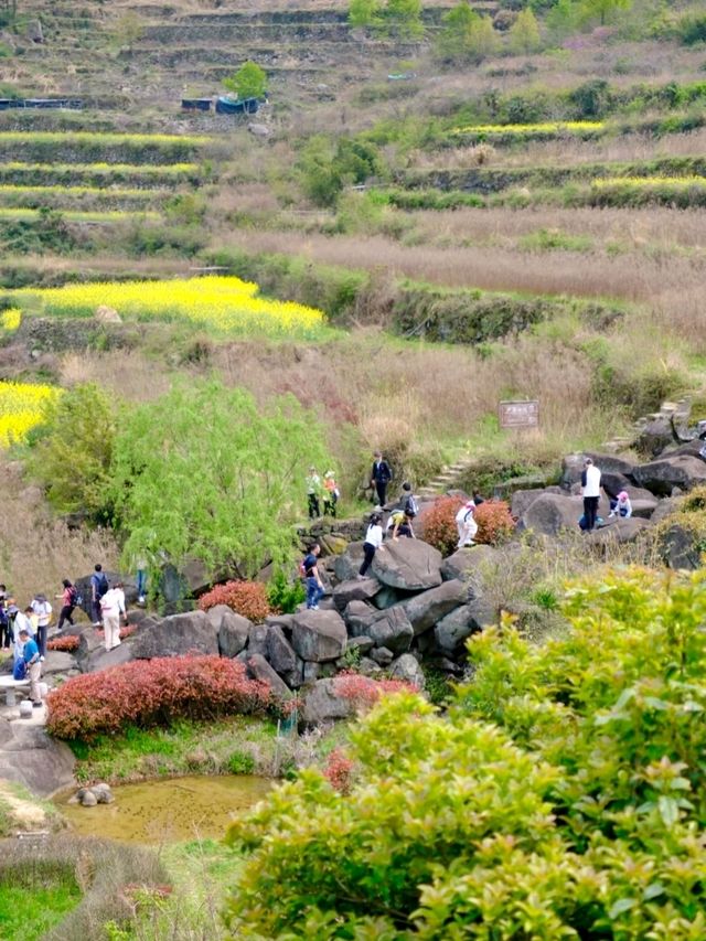 Fujishan: A Seasonal Masterpiece of Color and Life