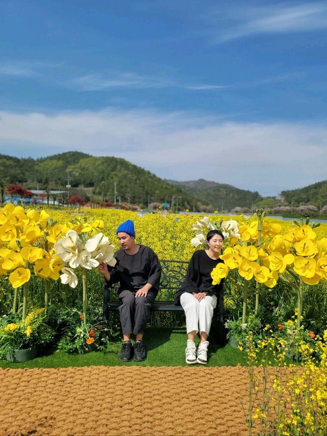 낭만가득 노랑 유채꽃축제가 열리는 진도💛