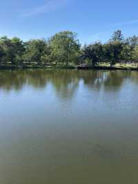 The Crafted Lake at Pattani Park