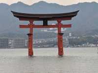 【広島】嚴島神社で海に浮かぶ鳥居を見る！