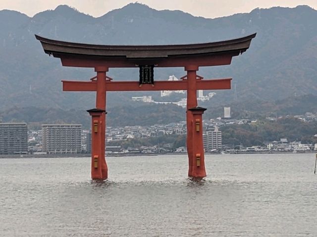 【広島】嚴島神社で海に浮かぶ鳥居を見る！