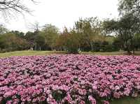 Yuntai Garden 