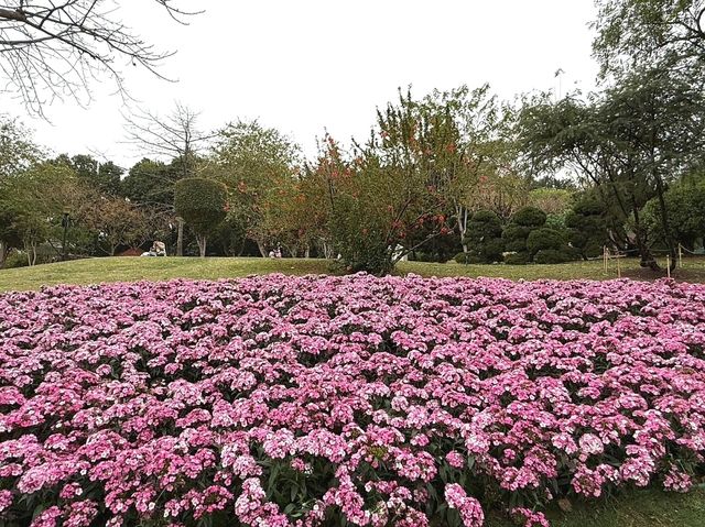 Yuntai Garden 