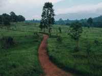 เขาใหญ่ 2 วัน 1 คืน...เที่ยวไหนได้บ้าง🌿