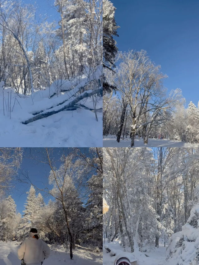 รีวิวฮาร์บิน  Changbai Mountain หรือ snow valley