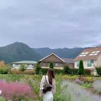 Kawaguchiko one day trip