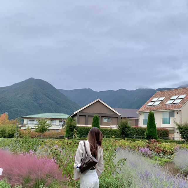 Kawaguchiko one day trip