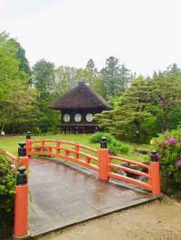 Rainy Day Bliss at Manyo Botanical Gardens