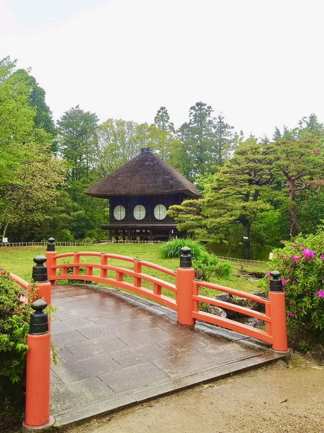 Rainy Day Bliss at Manyo Botanical Gardens