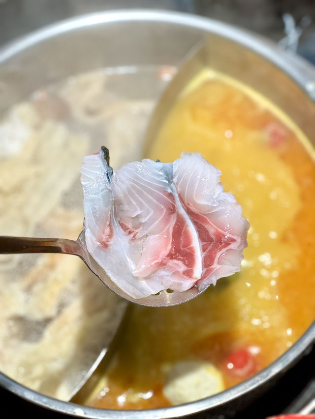 漁悅薈•中山脆鯇魚火鍋✨