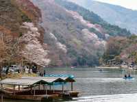 Arashiyama in Bloom: Kyoto’s Most Scenic Sakura Escape