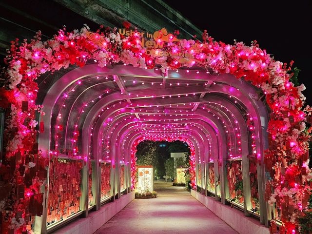 Beautiful sensoryscape at night