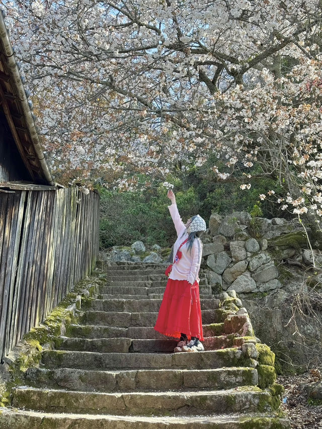 【広島/宮島】宮島日帰り旅行