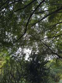 台北｜花博公園與台北植物園一日遊