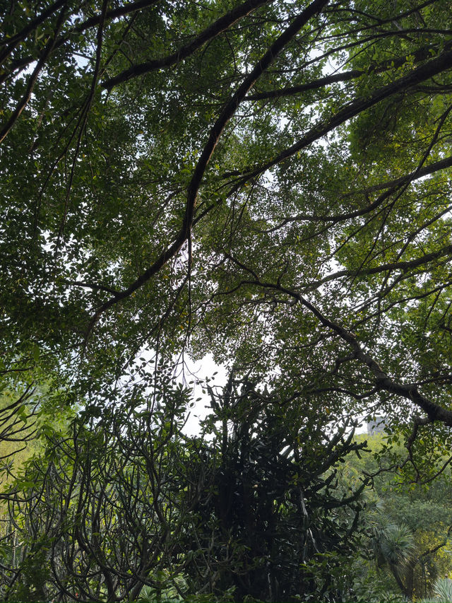 台北｜花博公園與台北植物園一日遊