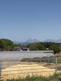東北道ドライブ中に…男体山がまるで富士山みたい！
