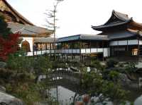 🍂 Secret Zen & Matcha Breaks: A Morning at Saifukuji Temple 🍂  