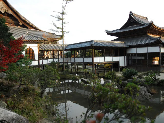 🍂 Secret Zen & Matcha Breaks: A Morning at Saifukuji Temple 🍂  