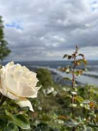 Altstadt: Where Germany’s Past Lives On