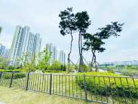 A Park for Everyone: Gungri’s Charm