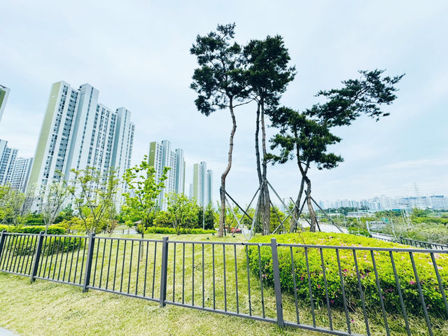 A Park for Everyone: Gungri’s Charm