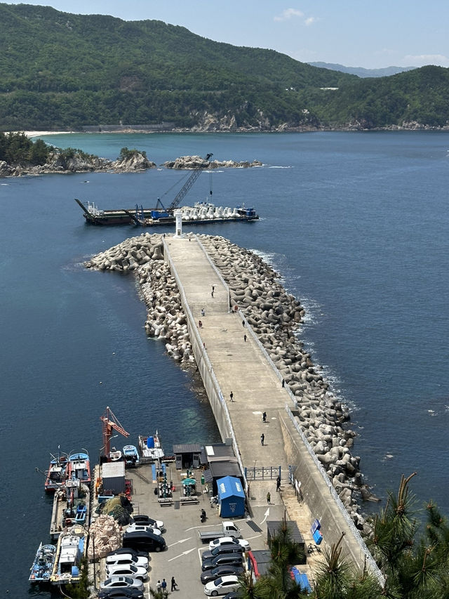🚡삼척의 아름다운 항구 바다 장호항의 전경을 볼 수 있는 🏝️ 삼척 어트랙션 여행코스
