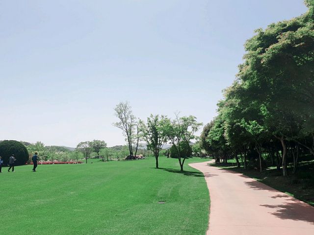 모든 순간이 초록 🌱순천만국가정원