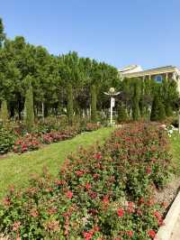 Spring Blooms at Flag Pole Park in Dushanbe