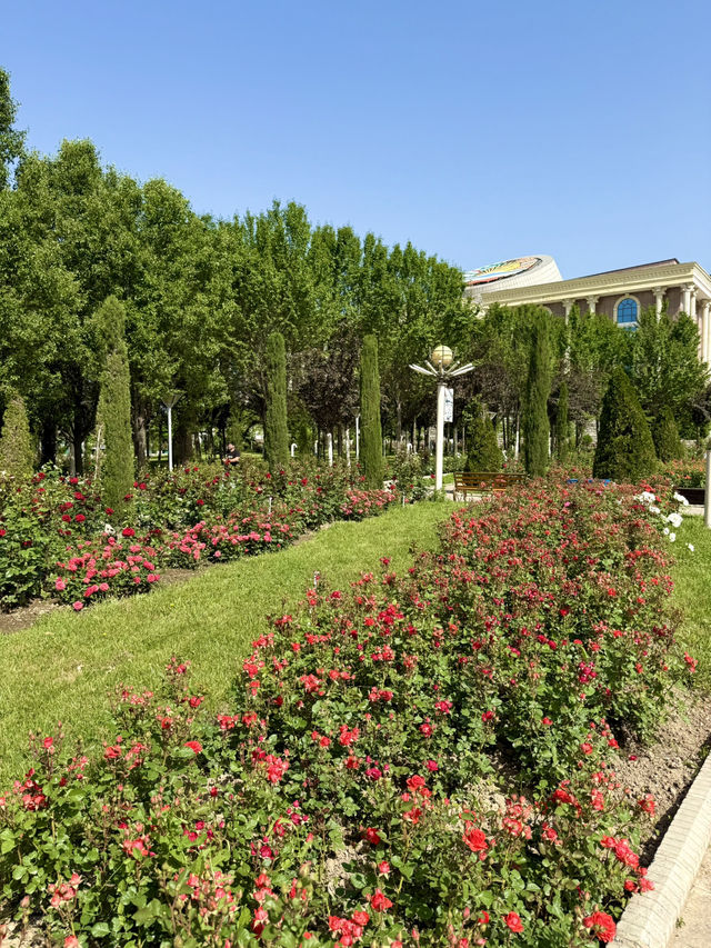 Spring Blooms at Flag Pole Park in Dushanbe