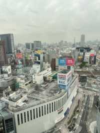 西新宿50樓的雲端午餐🍱視覺味覺與心靈的三重享受