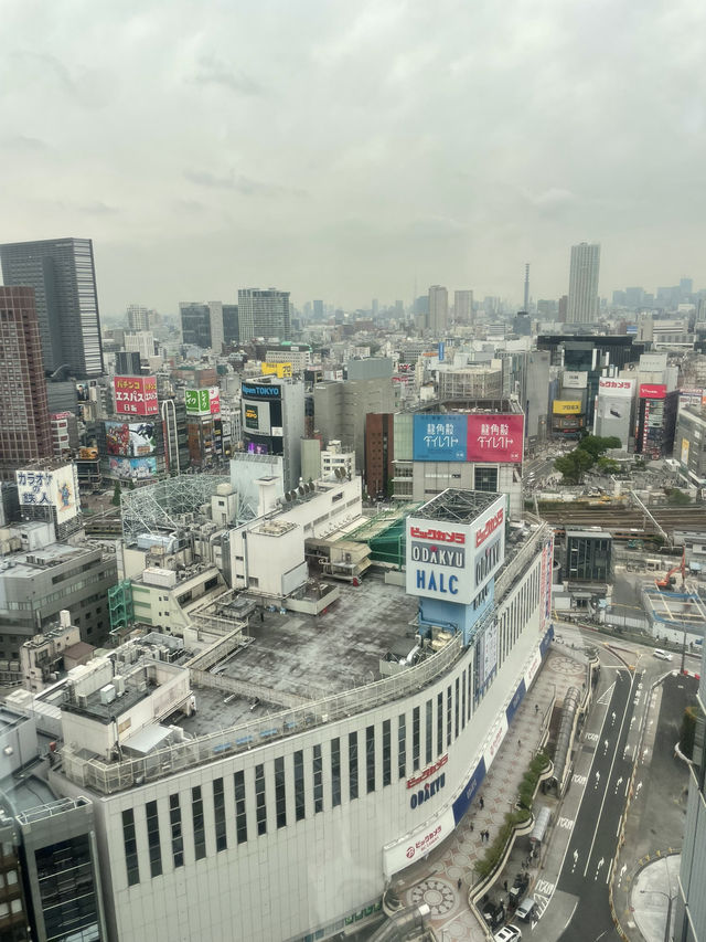 西新宿50樓的雲端午餐🍱視覺味覺與心靈的三重享受