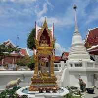 🔆WAT Chana Songkram | วัดชนะสงคราม🔆