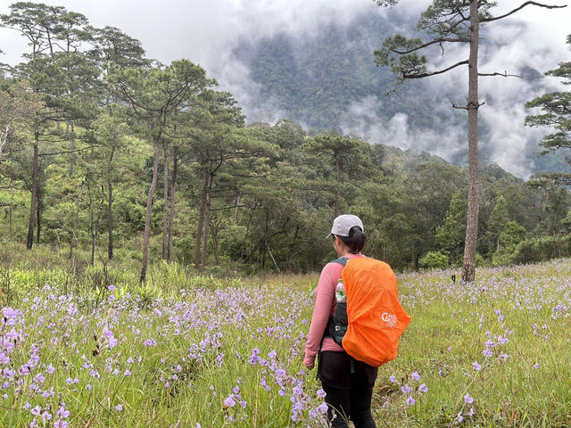 ภูสอยดาว