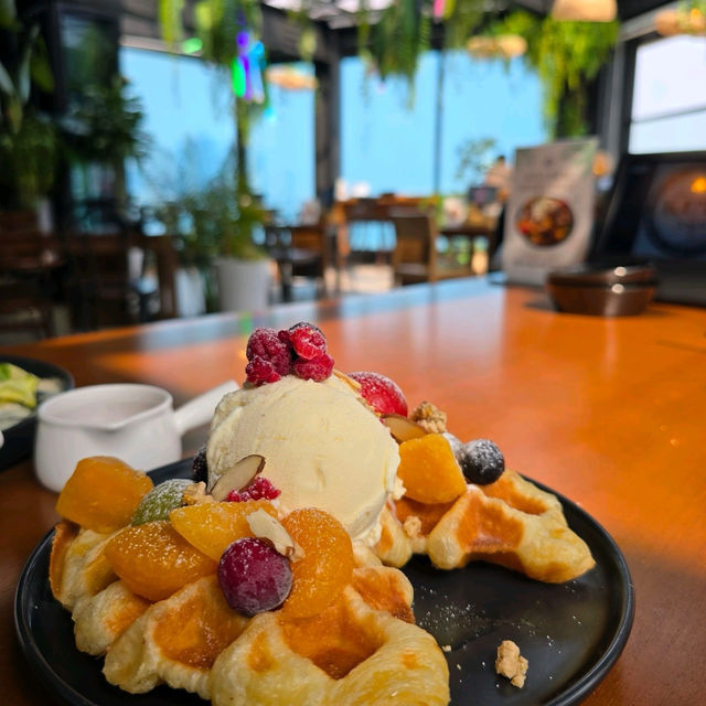 🍊광안리 애견동반 브런치 맛집 쿠타팜