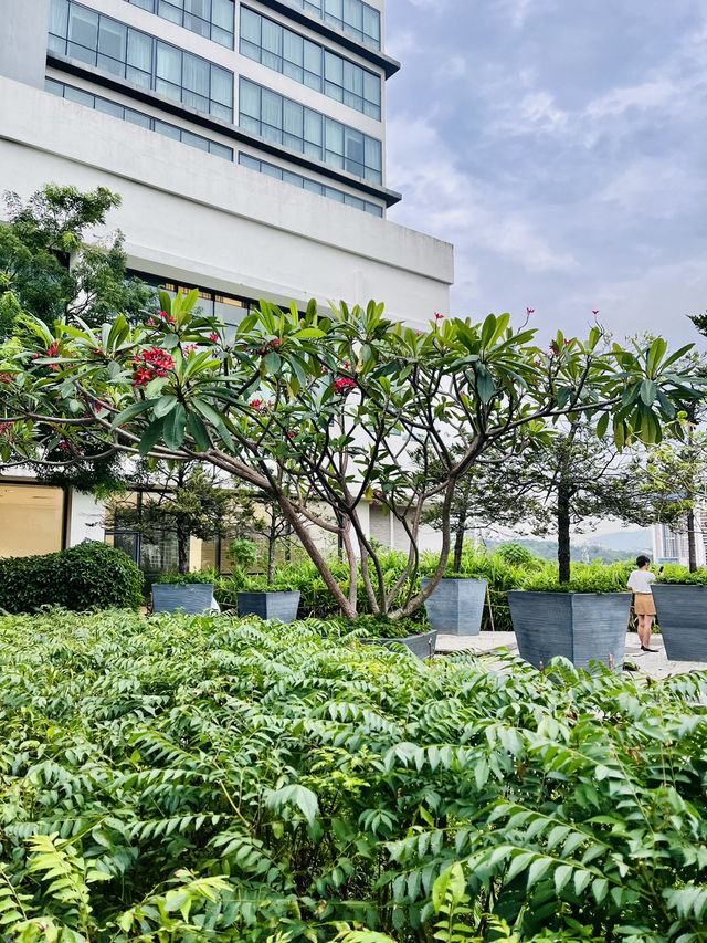 Starling Mall Rooftop Garden: A Green Oasis Above Petaling Jaya