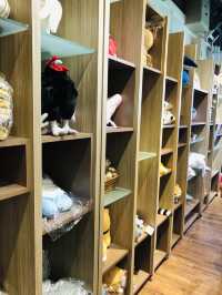 很有特色的一間精品店