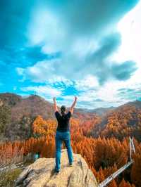 Title: Daejeon – South Korea’s Smart City with a Soul