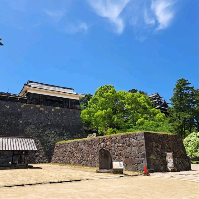 The Samurai Vibe You Didn’t Know You Needed