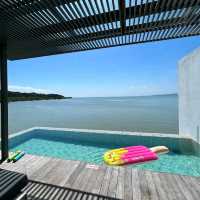 Cove 55