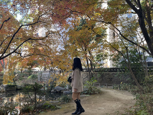 후쿠오카 도심 속 옛 일본 정원 ‘라쿠스이엔’