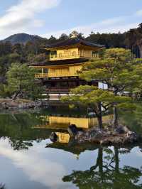 京都世界文化遺產金閣寺