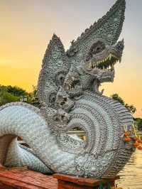 วัดป่าคลอง11