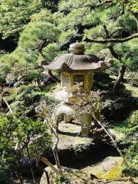 The Wonderful Saito Villa in Niigata