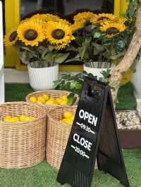 Time cafe & restaurant - ทุ่งสง นครศรีธรรมราช