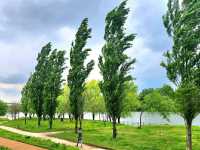Title: Seonyudo & Yanghwa Hangang Park: Seoul’s Riverside Eco-Cultural Duo