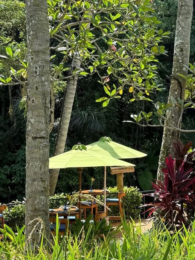 🍽️ A Feast in the Forest – Dining at Four Seasons Resort Bali at Sayan