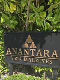 🌴 Anantara Veli Maldives Resort ⛵