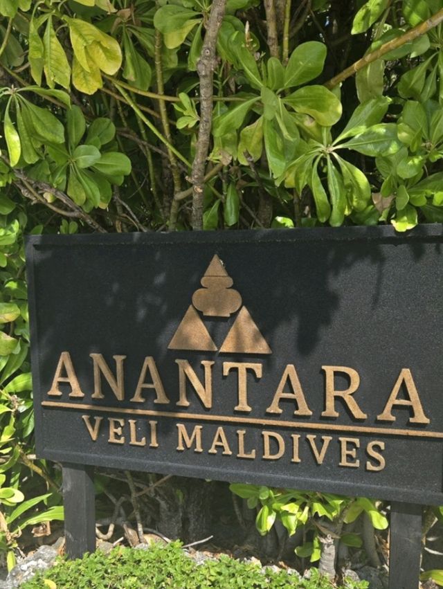 🌴 Anantara Veli Maldives Resort ⛵