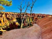 Bryce Canyon National Park – A Natural Amphitheater of Wonder